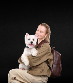 изображение истории