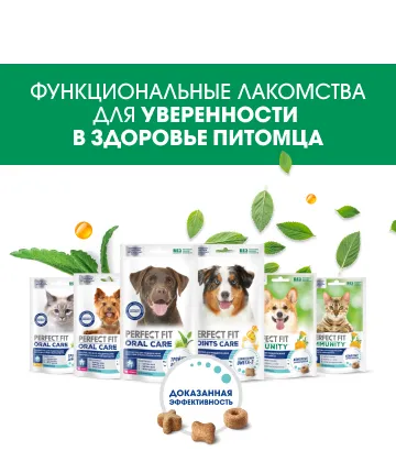 функциональные лакомства