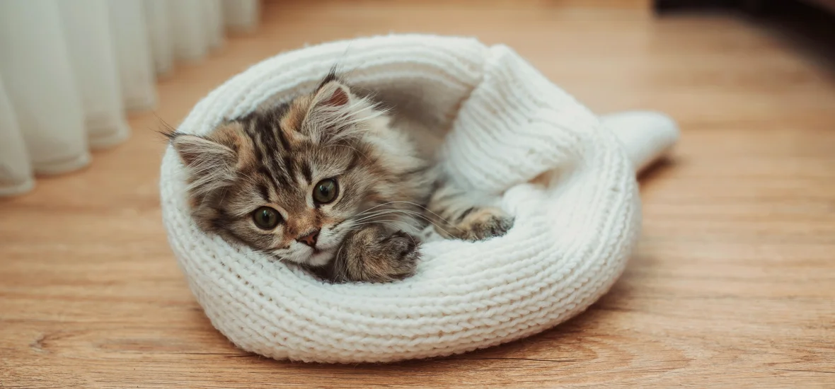 Лежанка из одежды