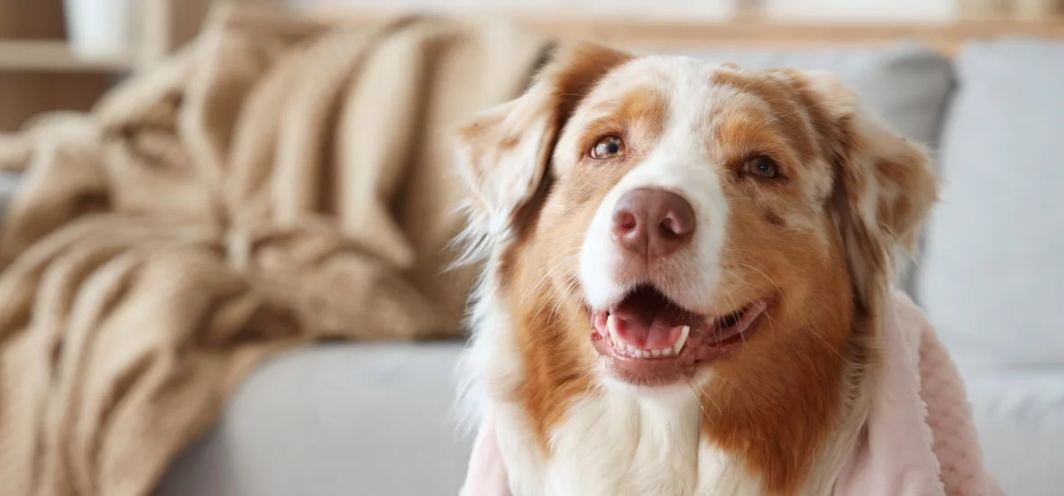 ЗИкота при переохлаждении 