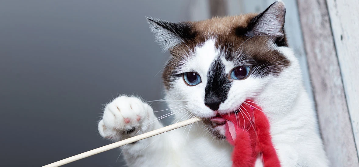 Безопасность игрушек своими руками