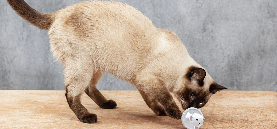 Идеи из подручных средств