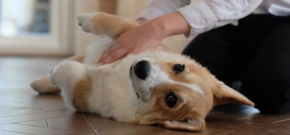 Массаж и успокаивающие техники