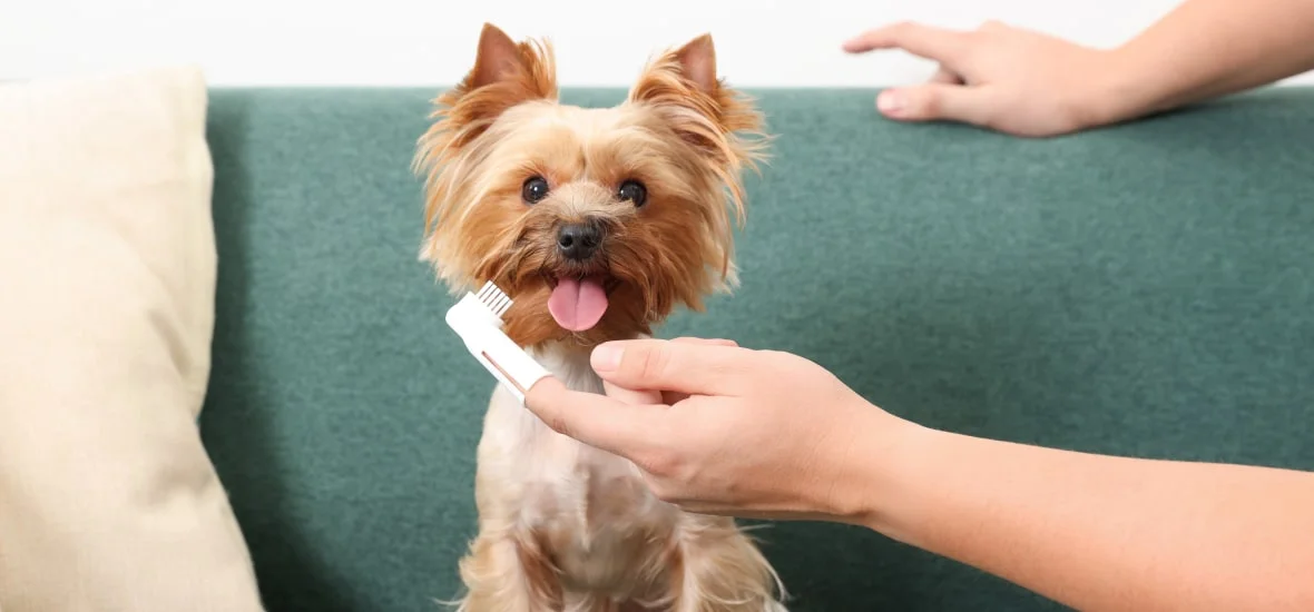 Чистка зубов 