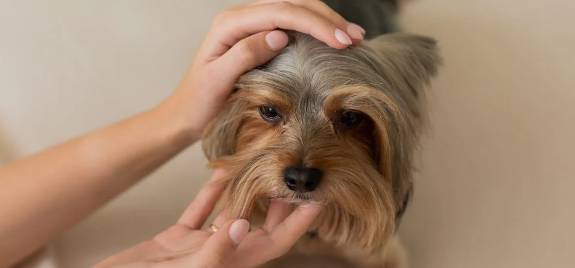 Неправильная фиксация