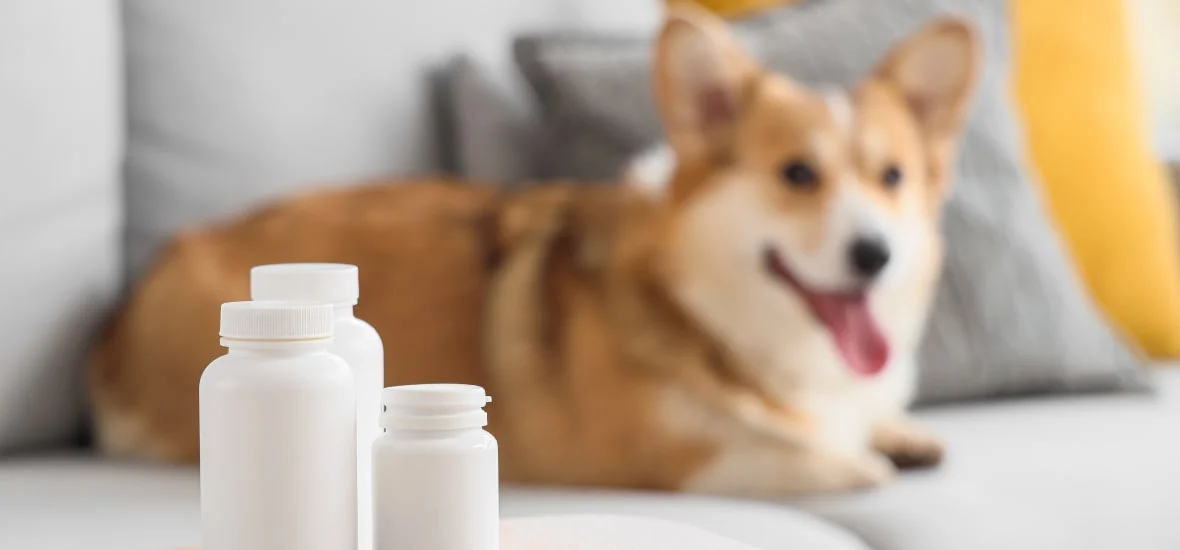 Способы дать таблетку