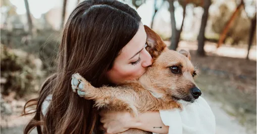 Манифест<br>PEDIGREE®:<br>Тем, кто делает<br>нас лучше™