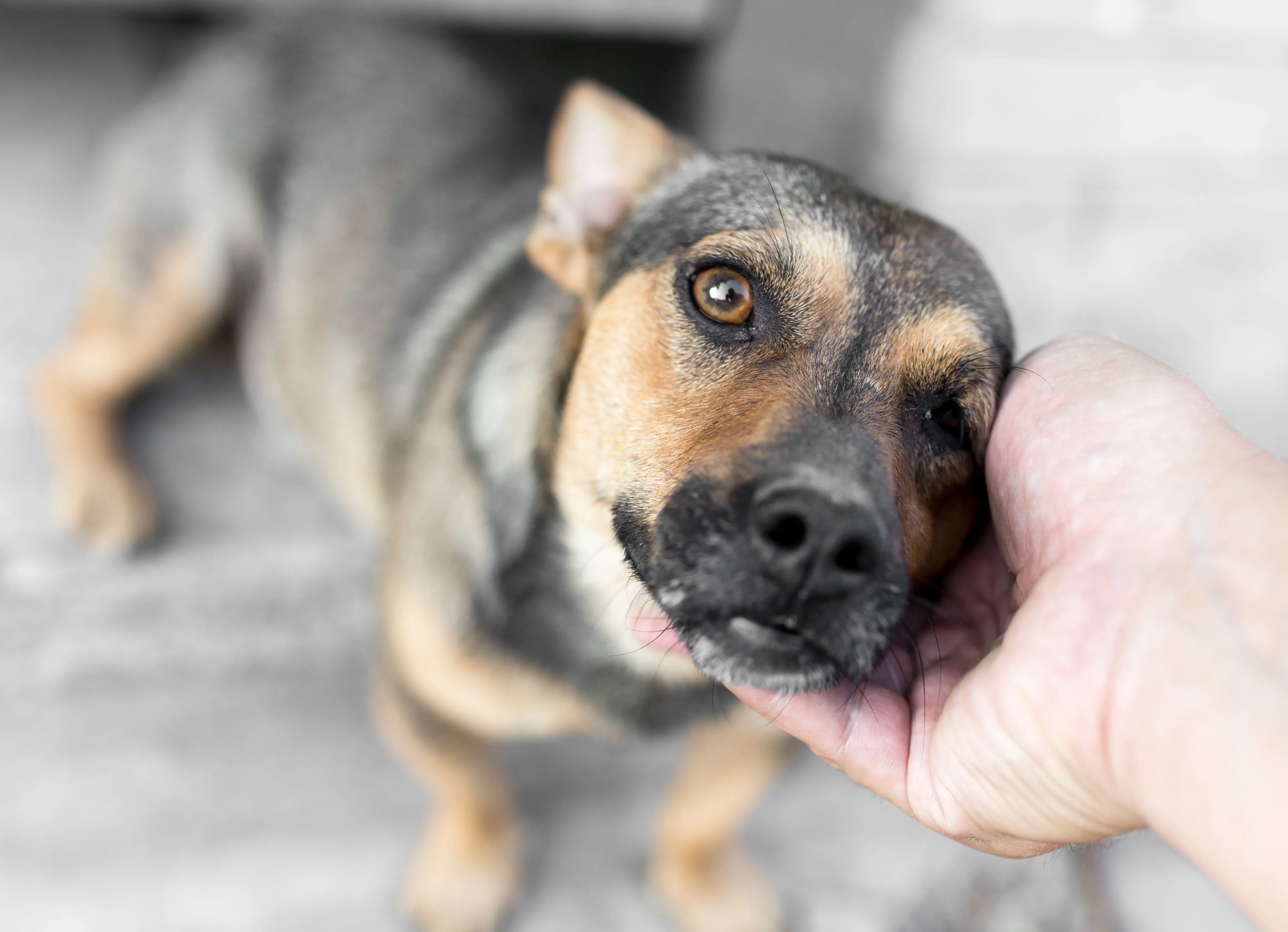 Способы<br> помочь