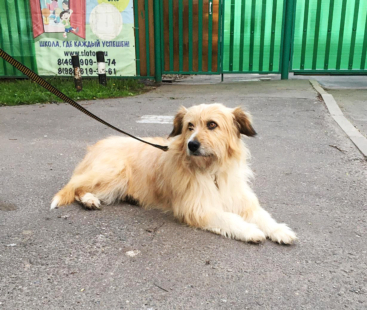 ИРВИН ДОМА???