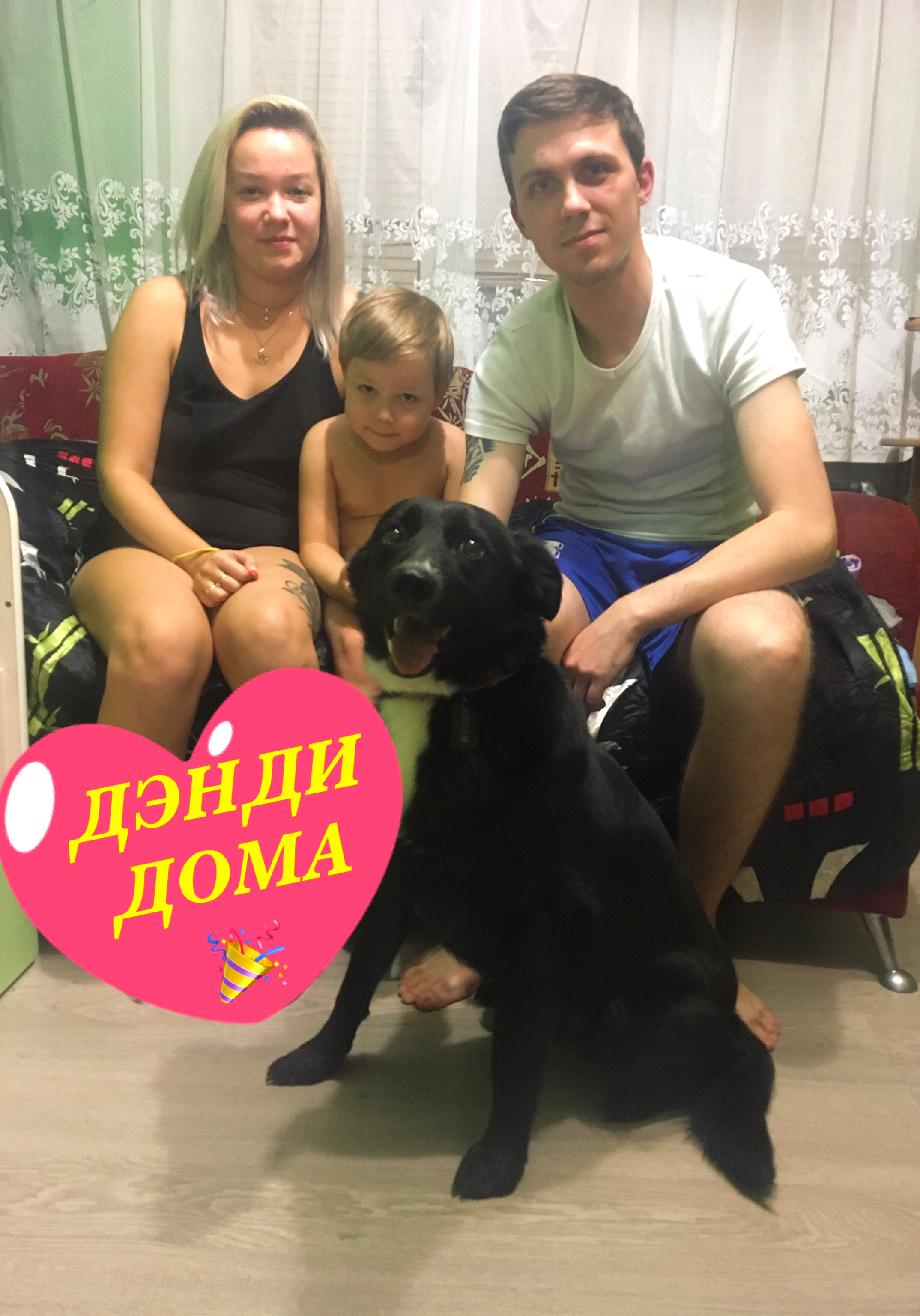 ДЭНДИ ДОМА???