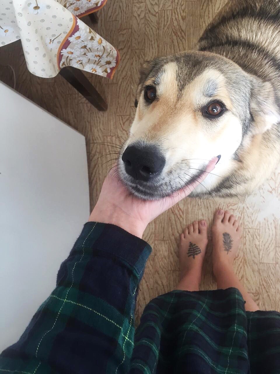 НЕВА ДОМА???