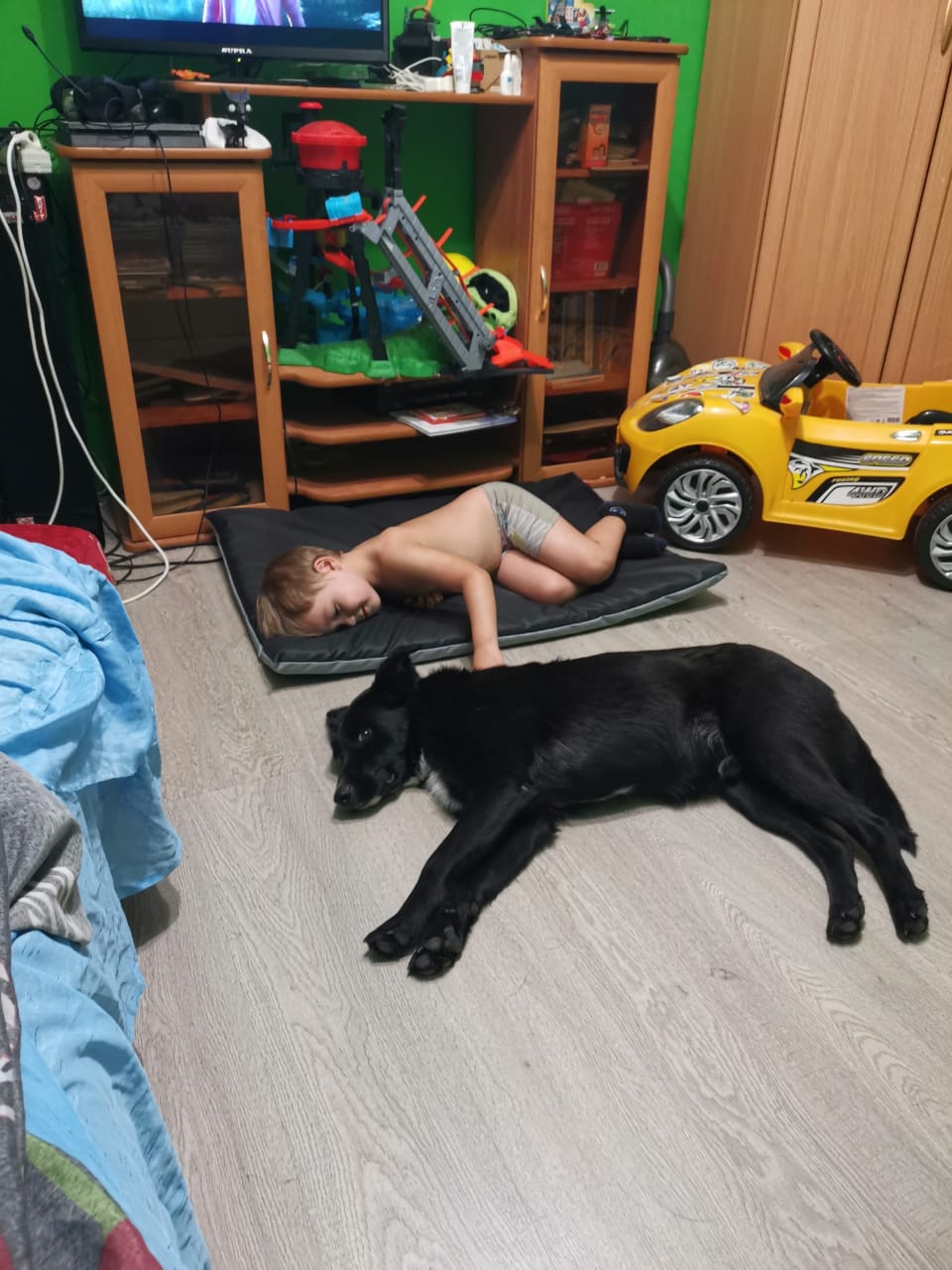 ДЭНДИ ДОМА???