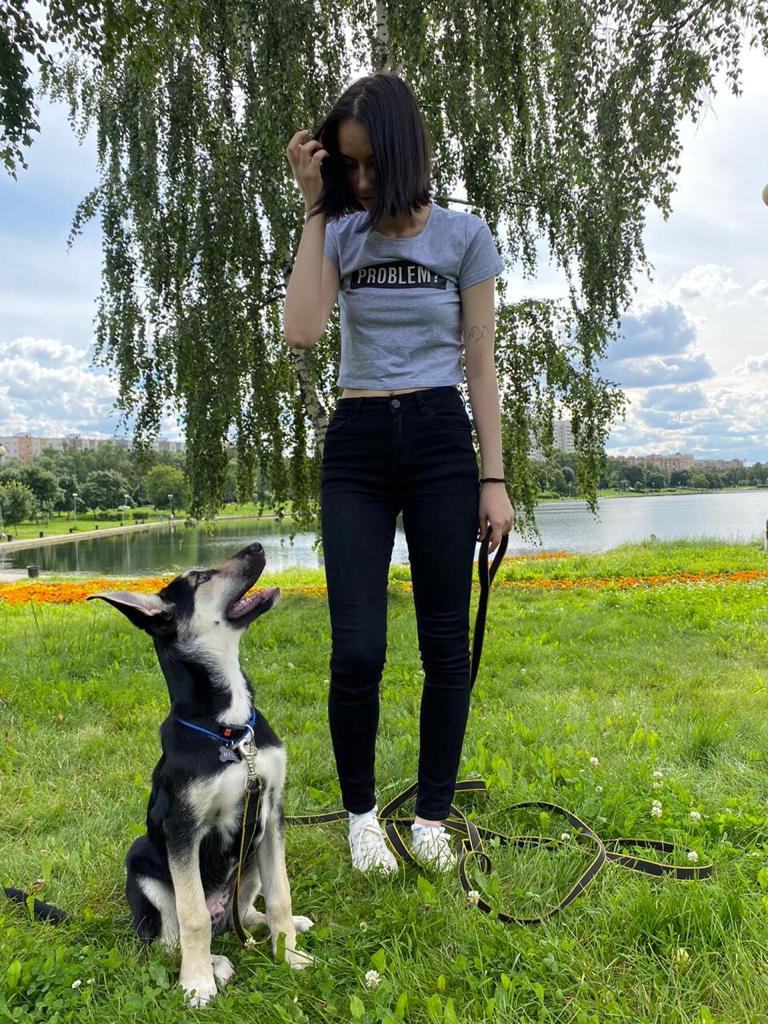 МУСС ДОМА???