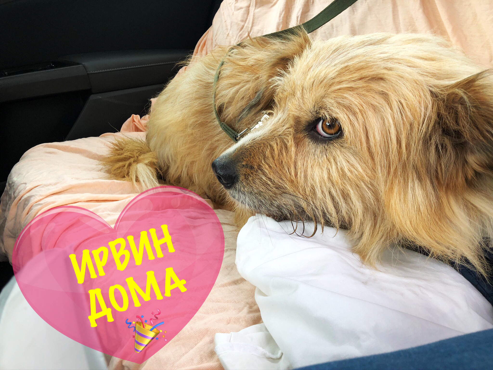 ИРВИН ДОМА???