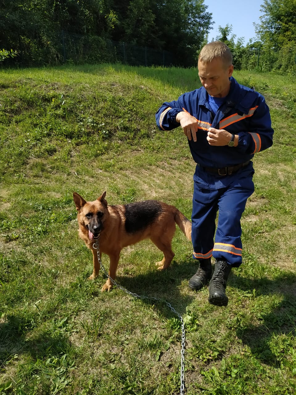 Санса дома!