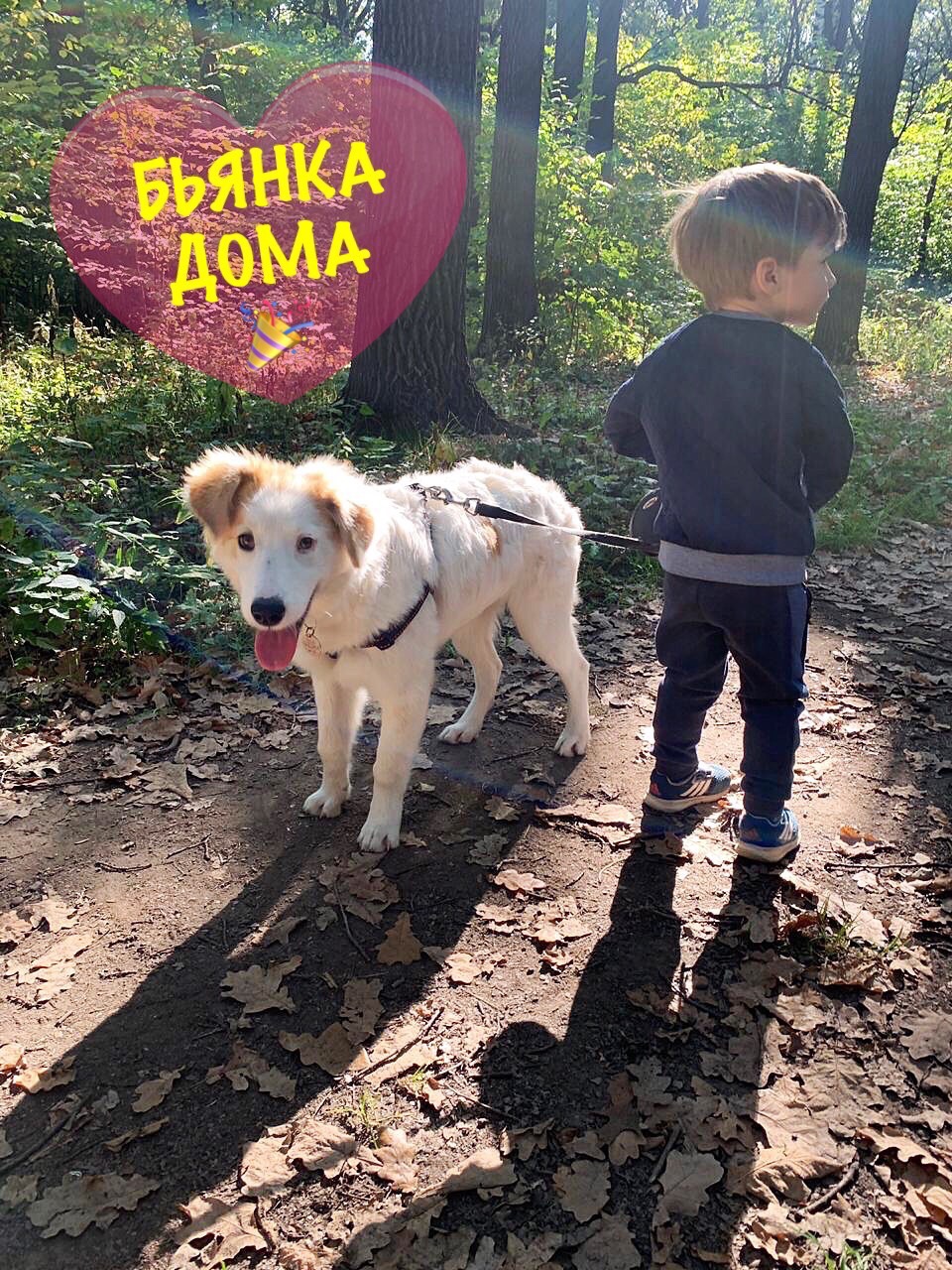 БЬЯНКА ДОМА???