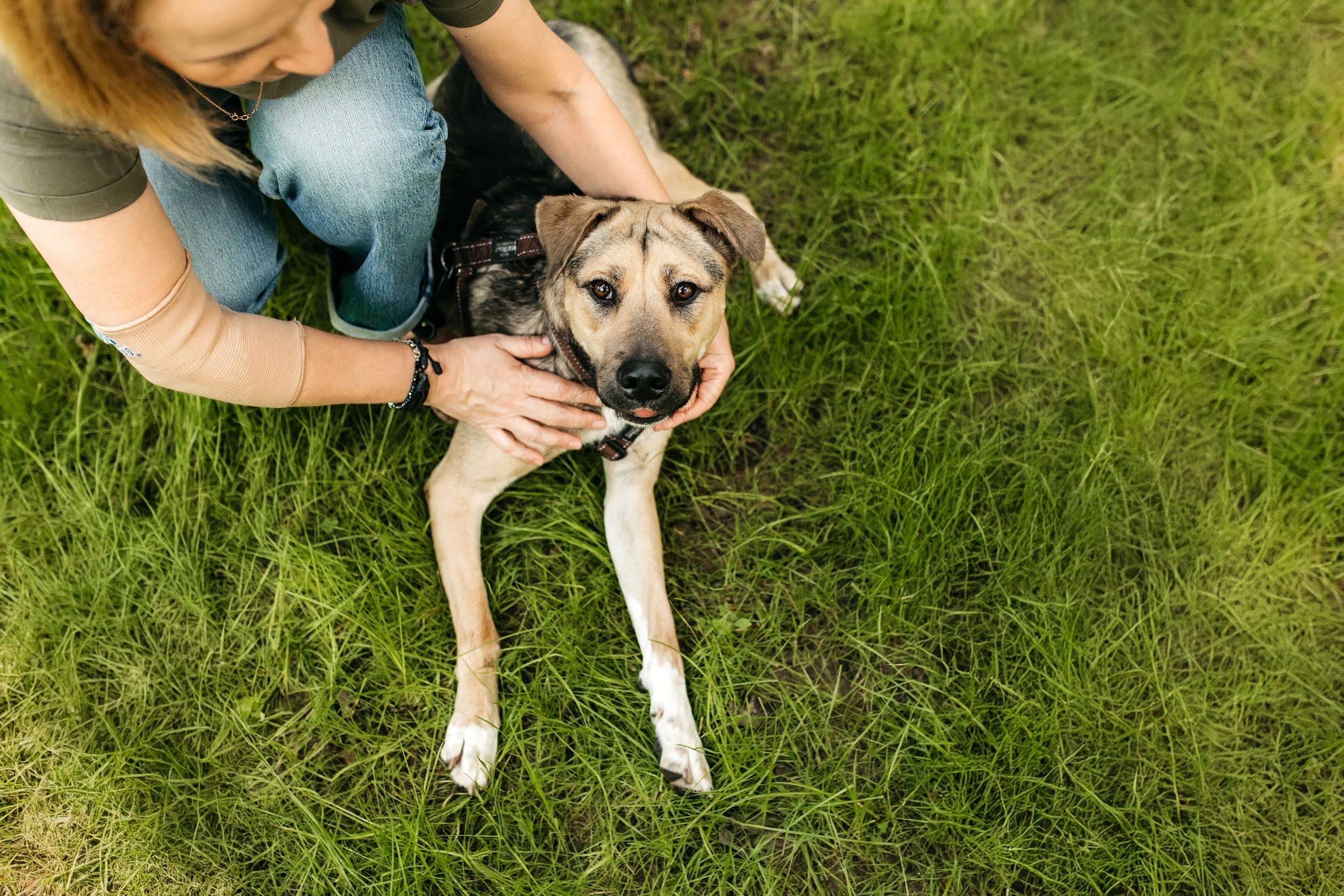 Солнечная Эстер в добрые руки