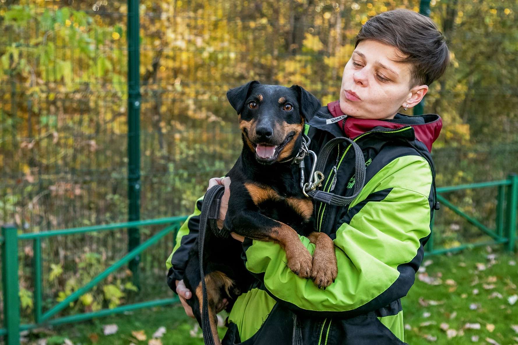 Кекс