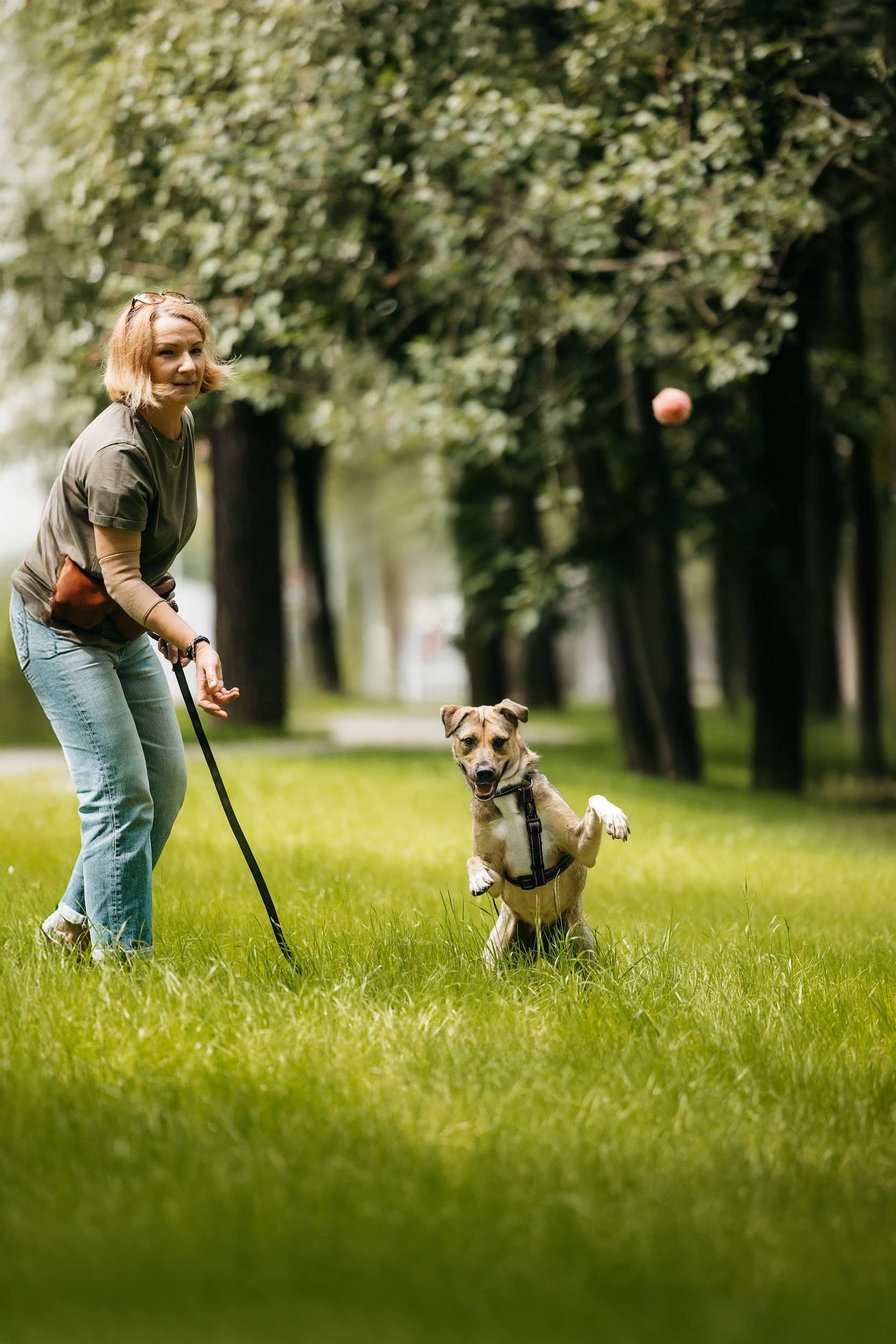 Солнечная Эстер в добрые руки