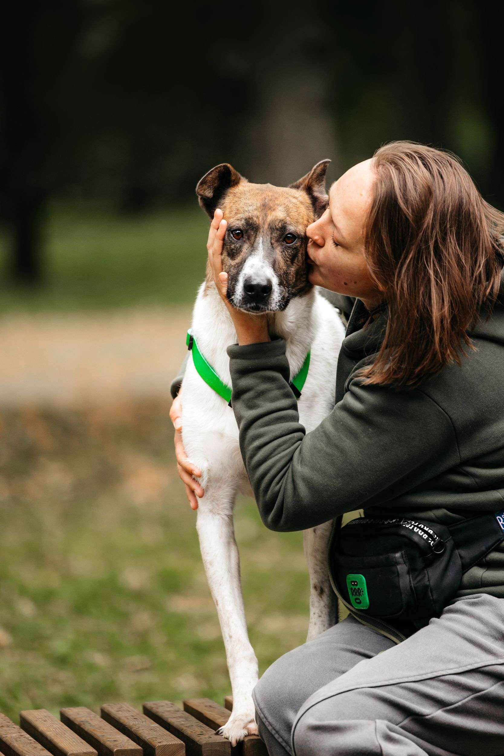 Трогательный собакен ищет дом