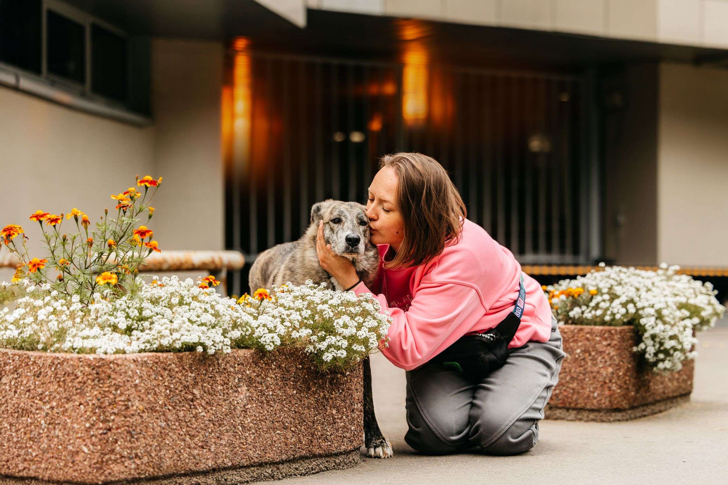 Уникальная Верба в поисках дома