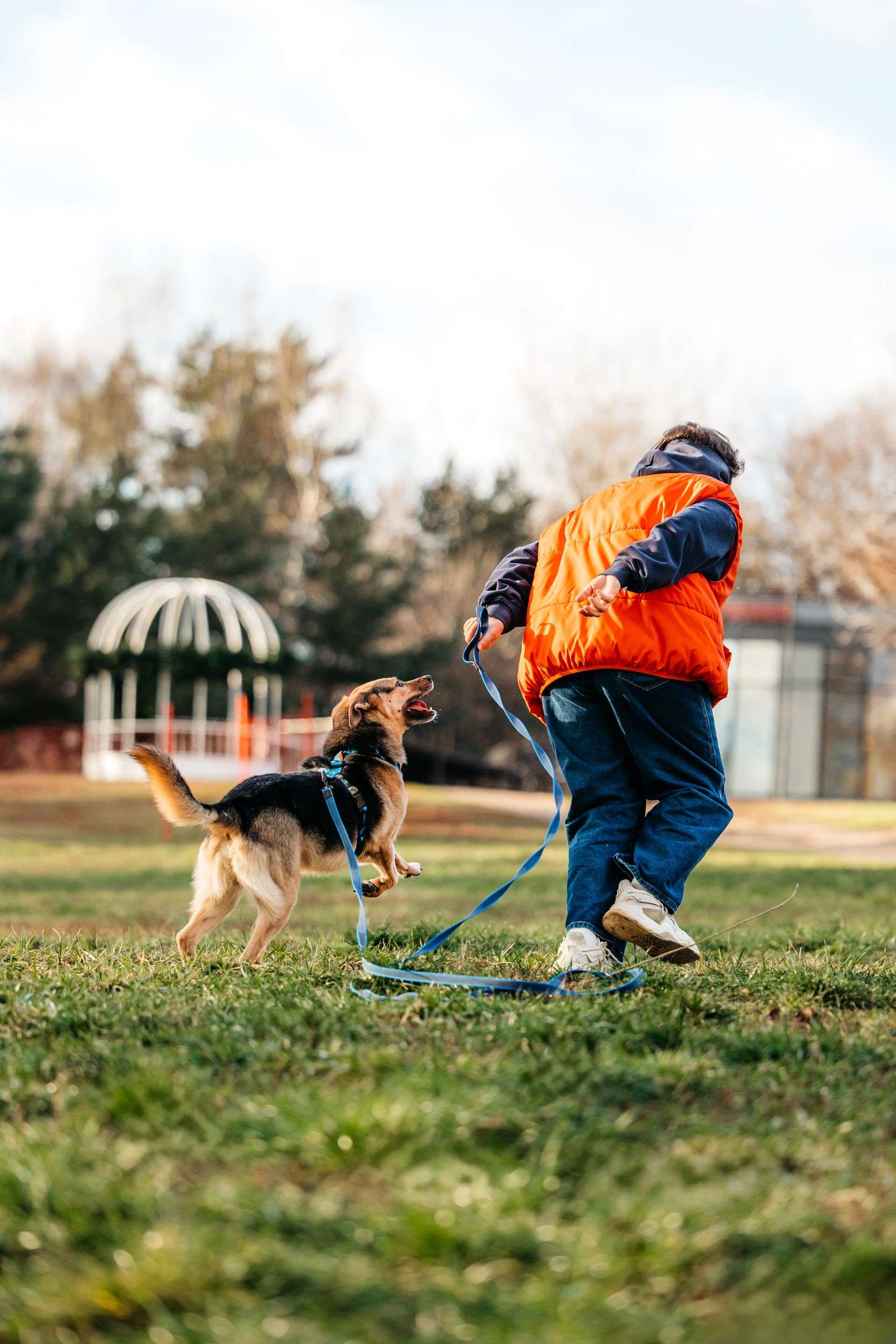 Нежный Читос ищет дом