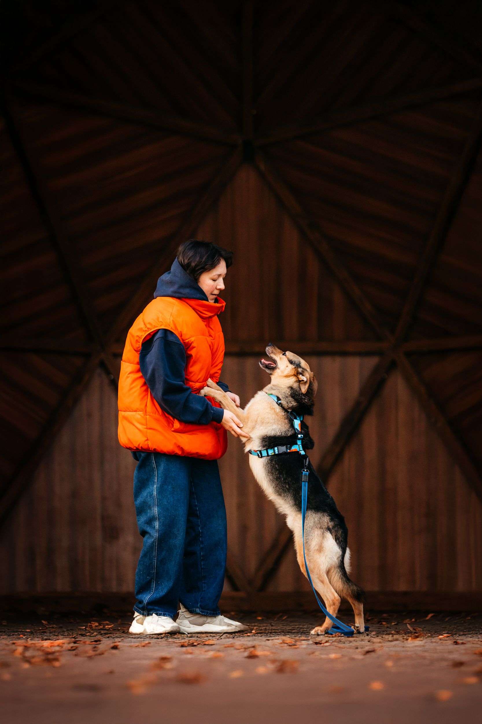 Нежный Читос ищет дом