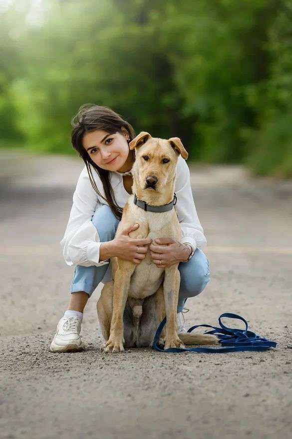 Батон ждет Вас в приюте!