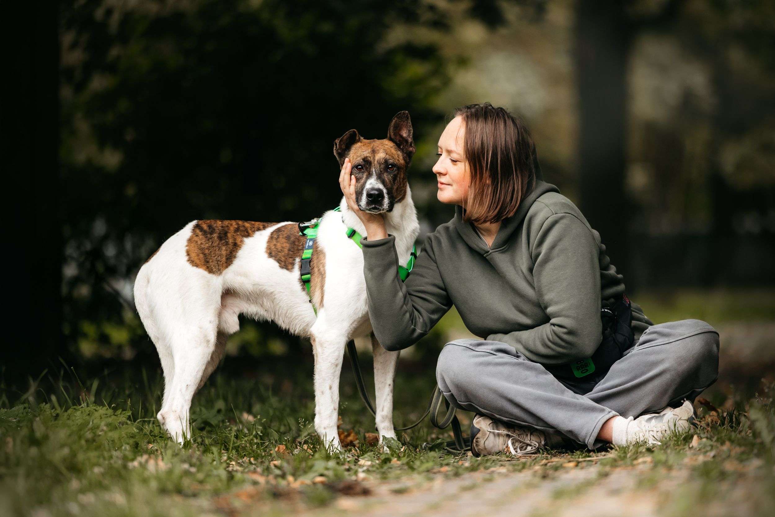 Трогательный собакен ищет дом
