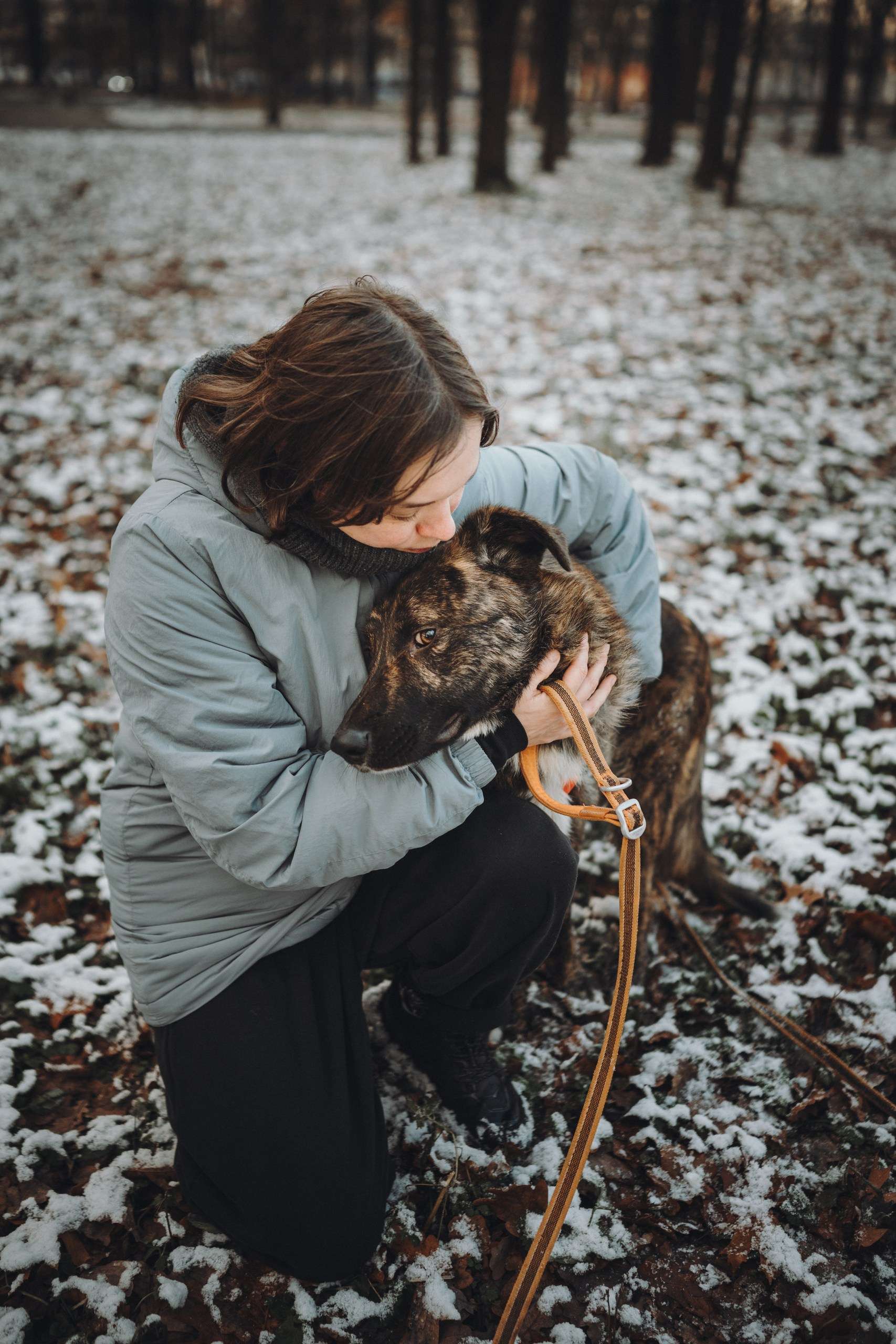 Роскошный Элвин ищет дом!