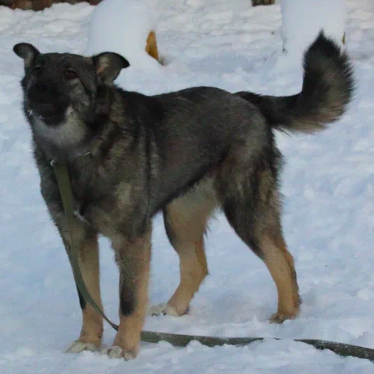 Ляля