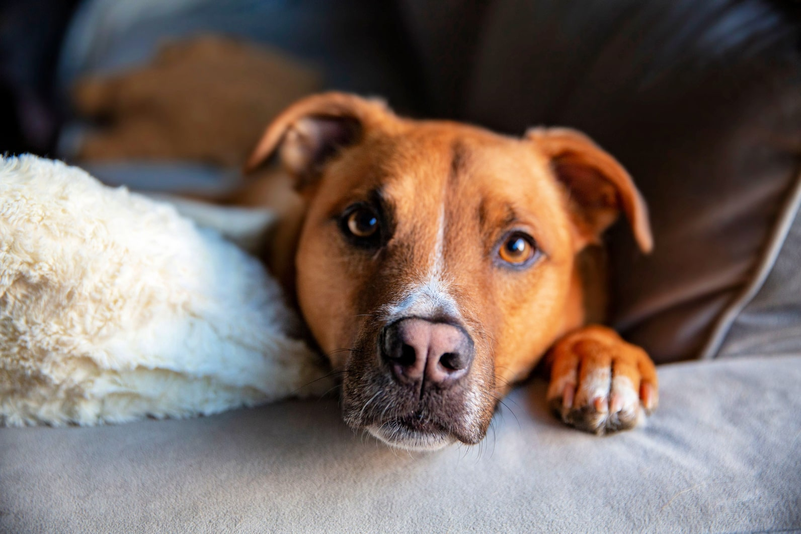 Зависящие от владельца факторы