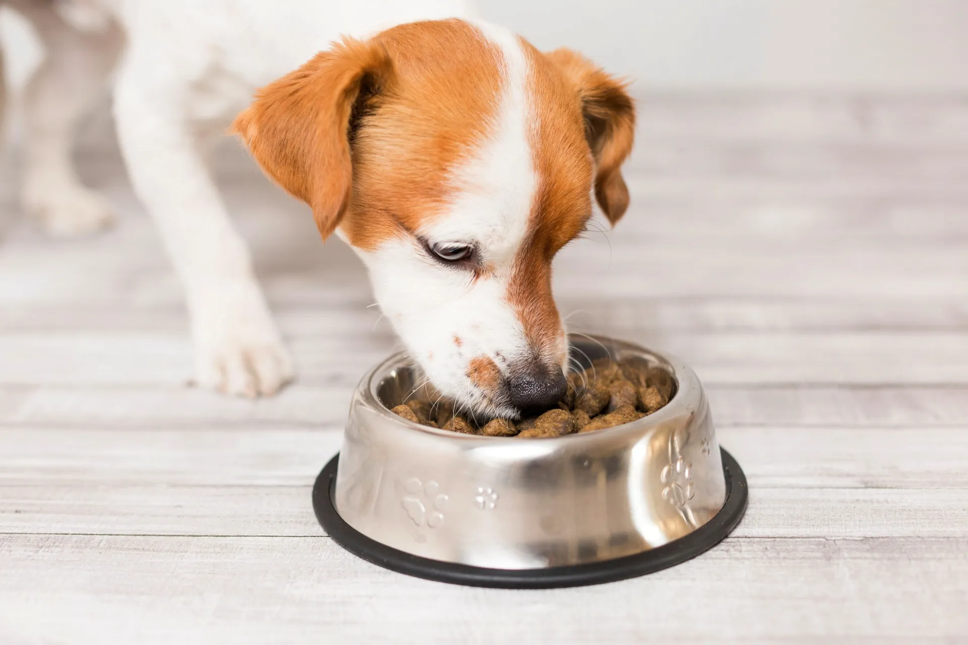 Основы правила смены рациона