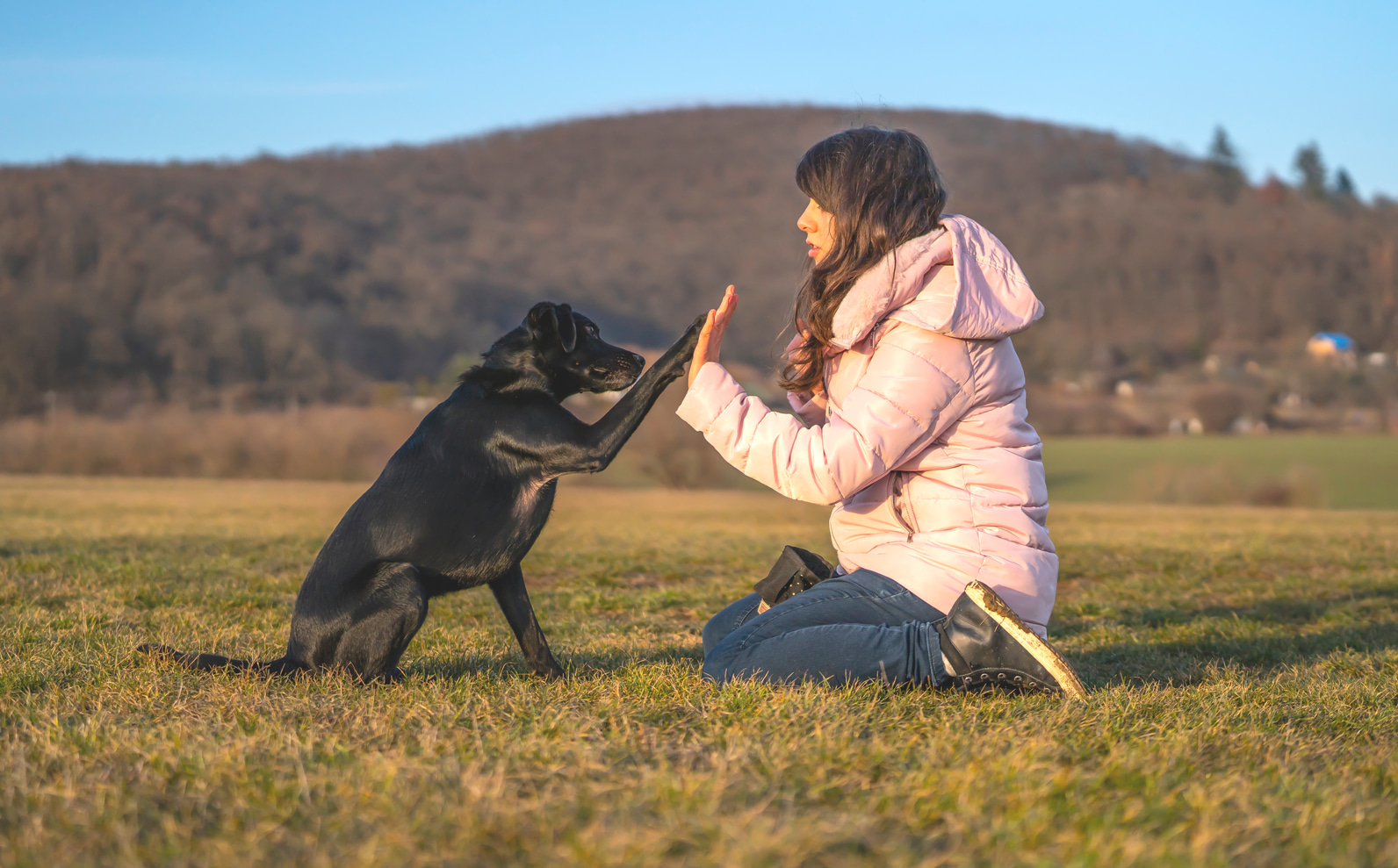 Методы коррекции нежелательного поведения