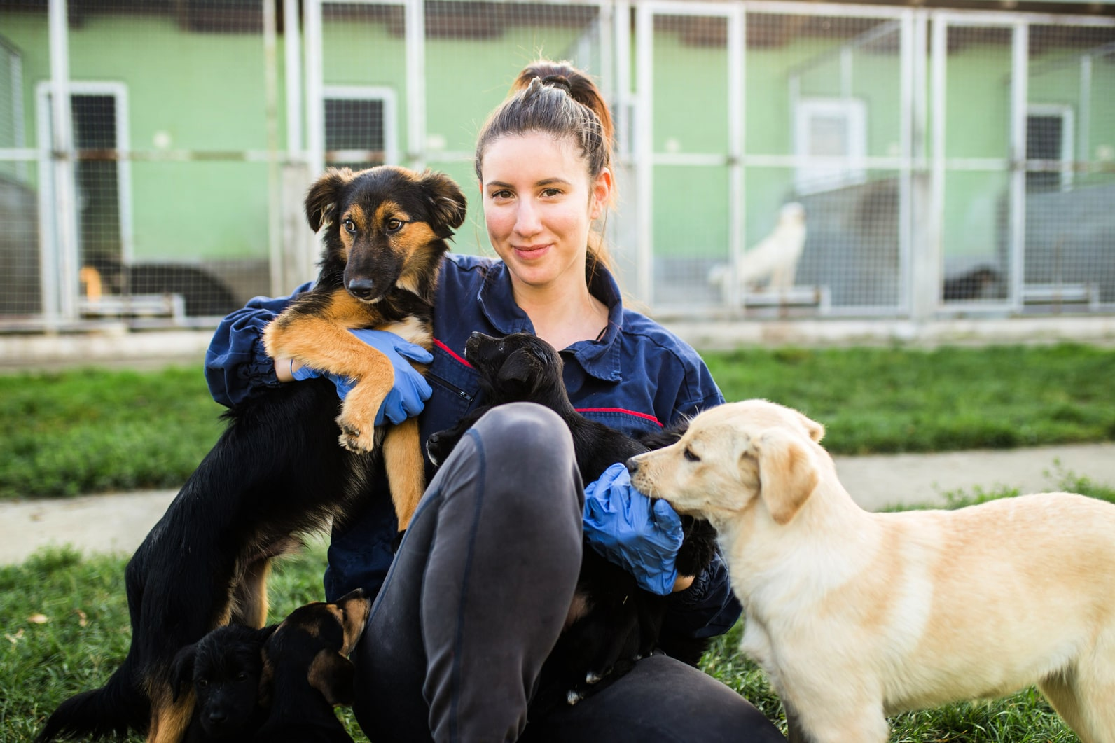 Условия содержания в приюте