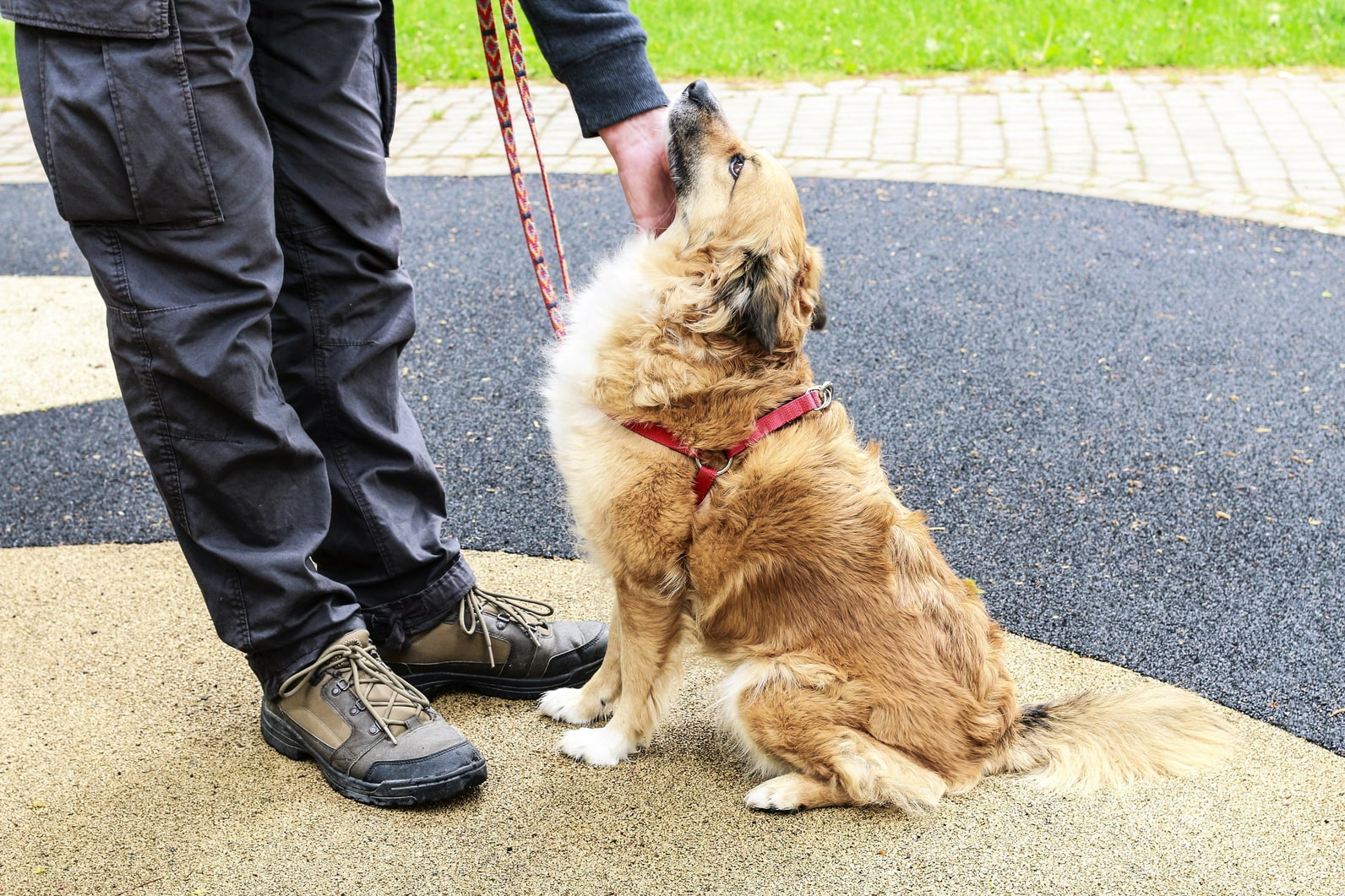 Отсутствие социализации