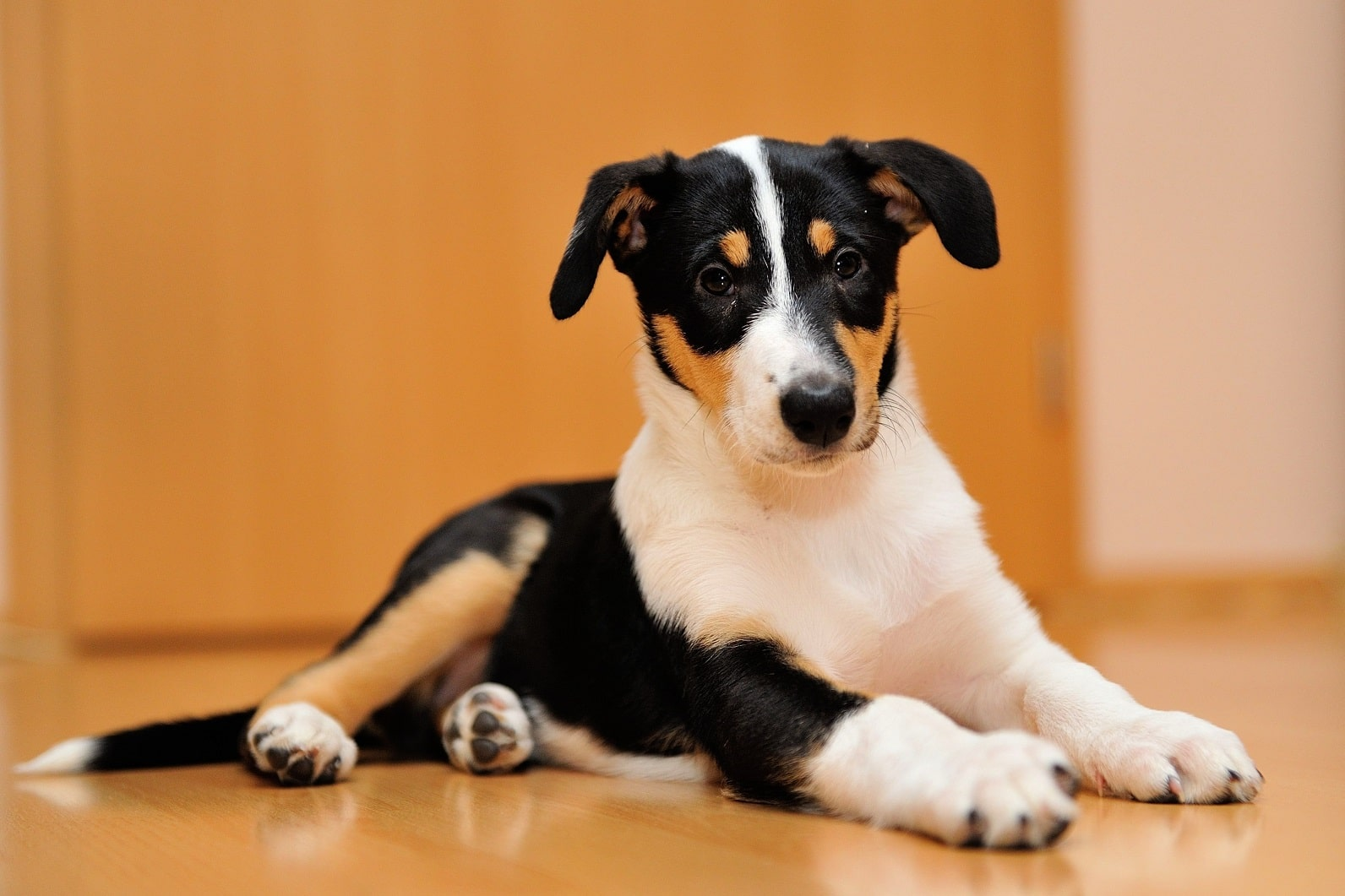 Установите правила приветствия по возвращении домой