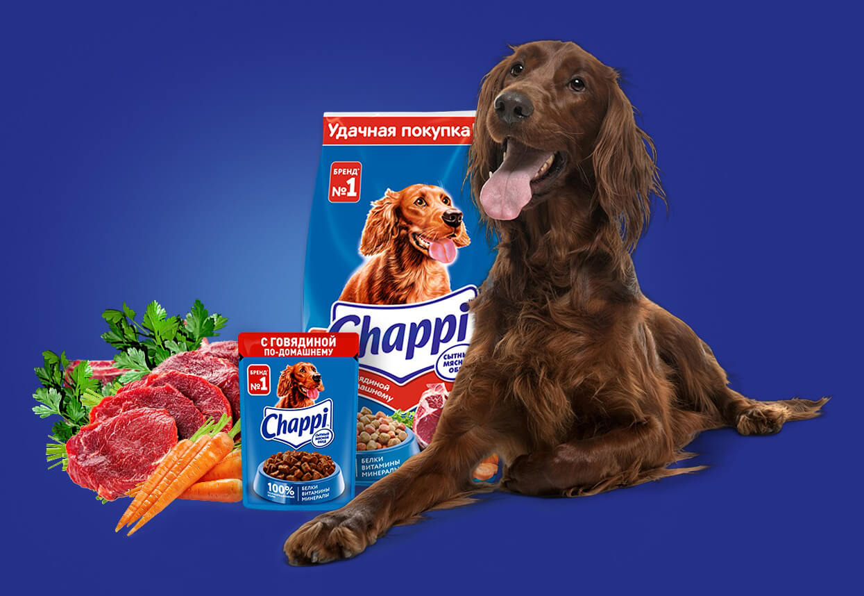 dog rating