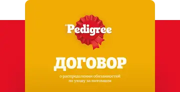 договор о распределении обязанностей по уходу за питомцем