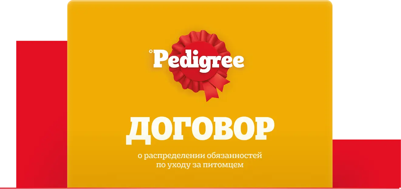 договор о распределении обязанностей по уходу за питомцем