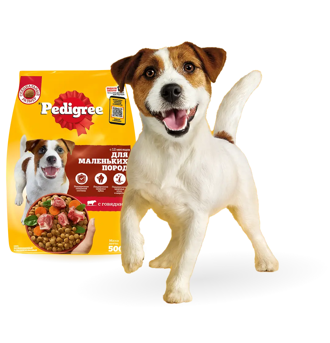 Индивидуальный подбор рациона