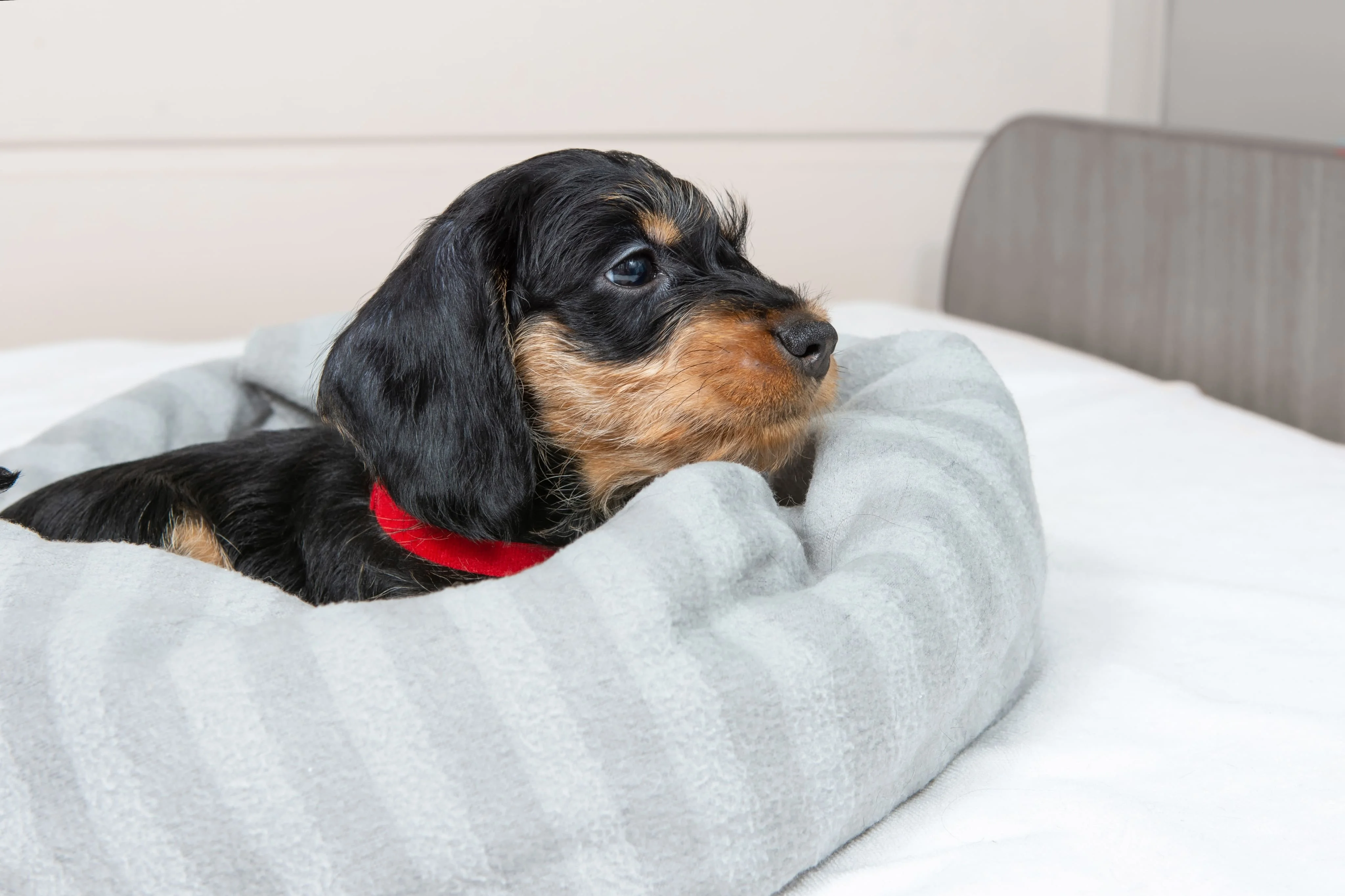 Организация безопасного пространства