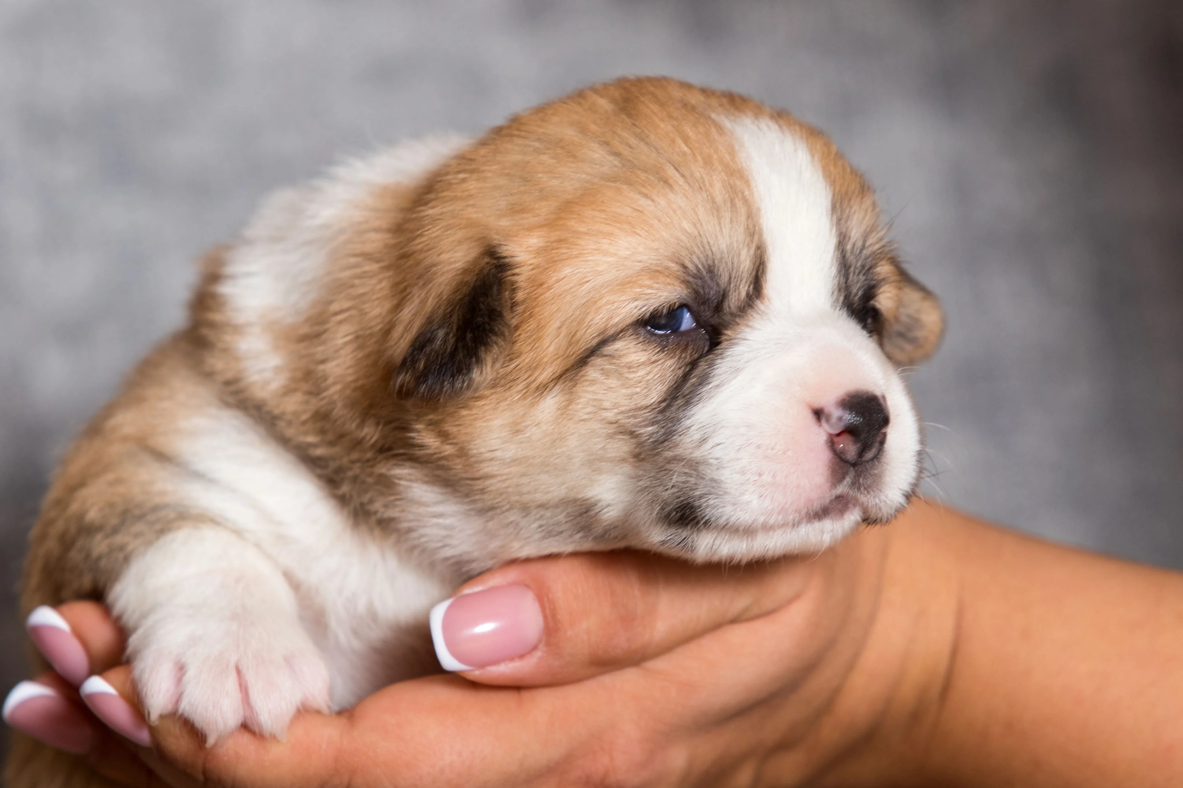 Первый опыт общения с людьми