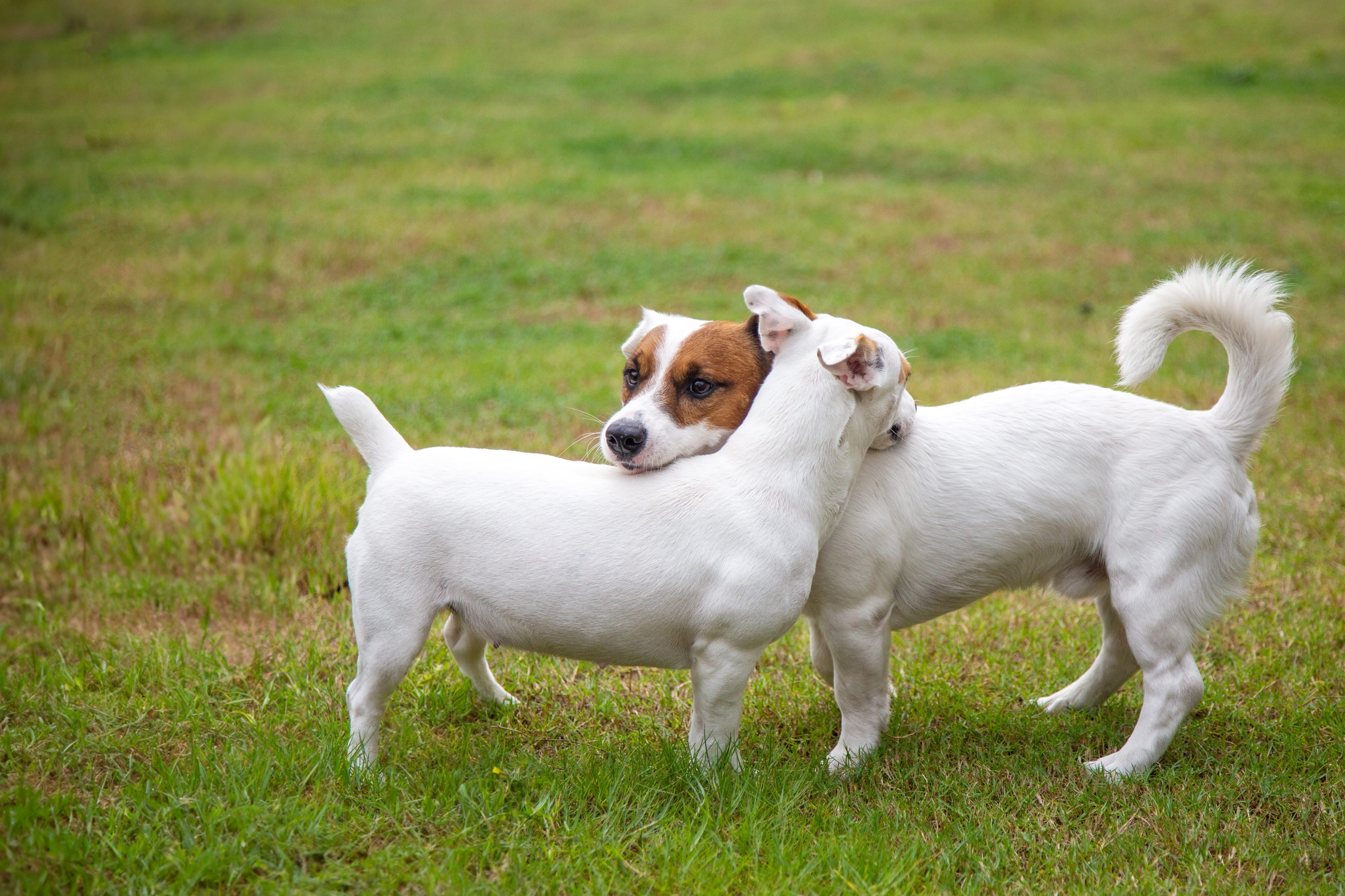 Процесс вязки