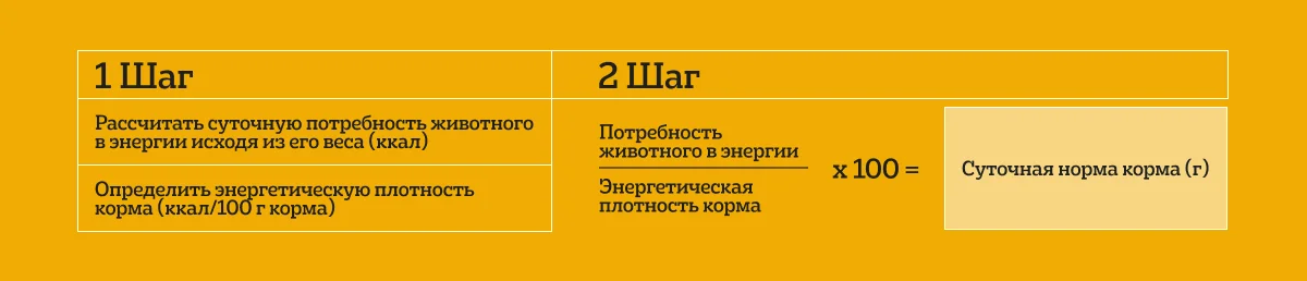 Таблица 1. Как рассчитывается суточная норма рациона