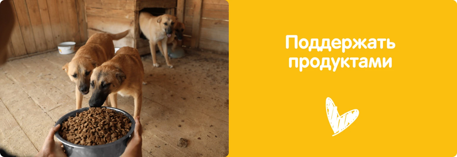 Поддержать продуктами