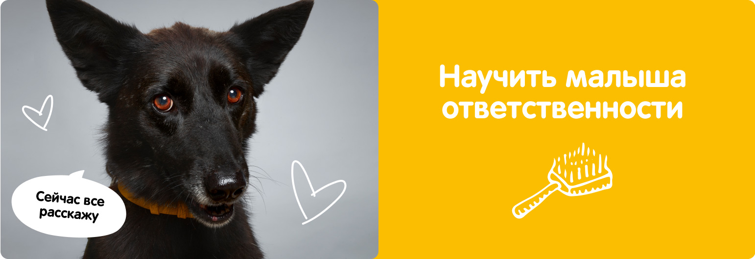 Научить малыша ответственности