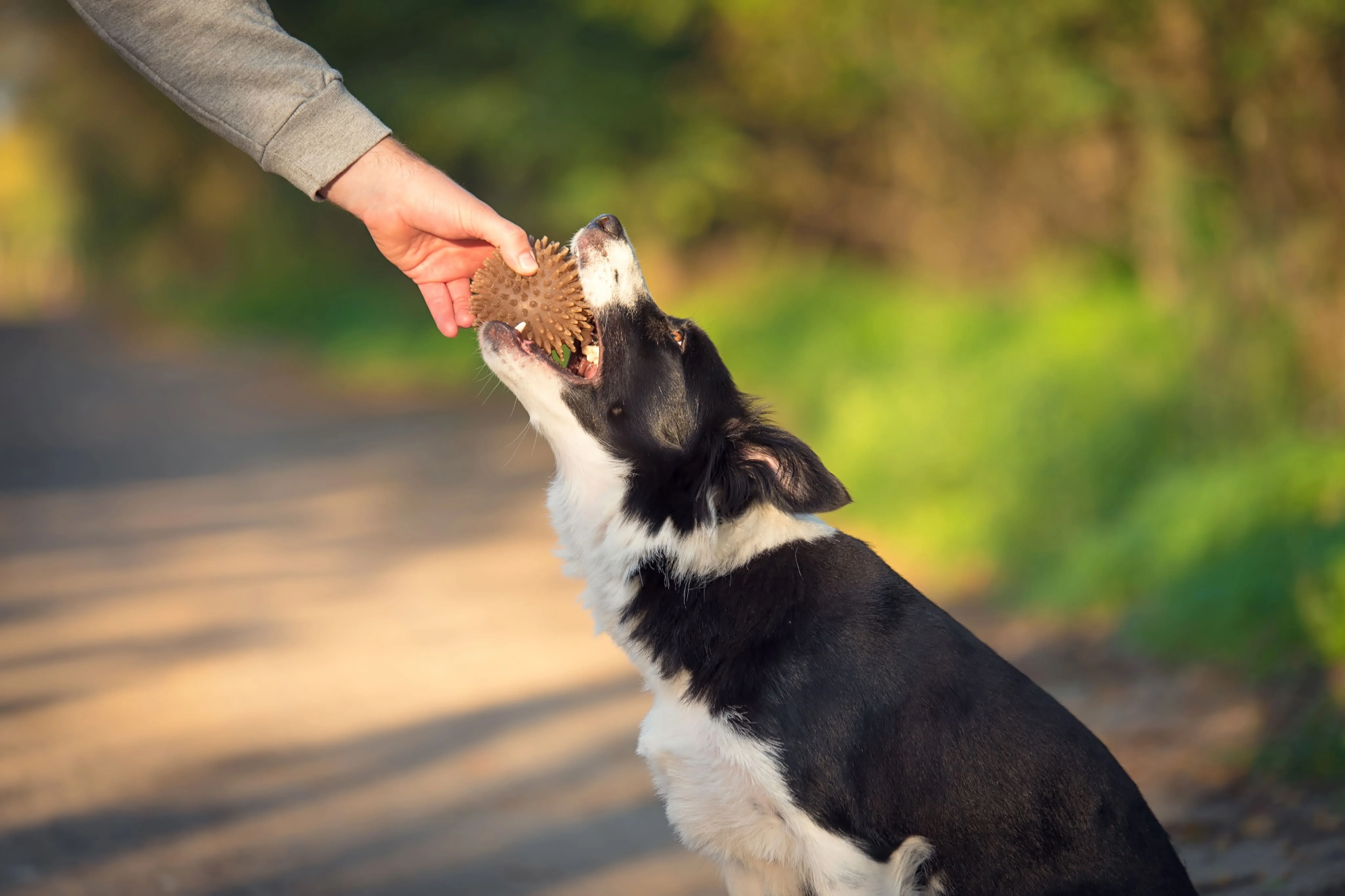 Игры и тренировки для снижения стресса