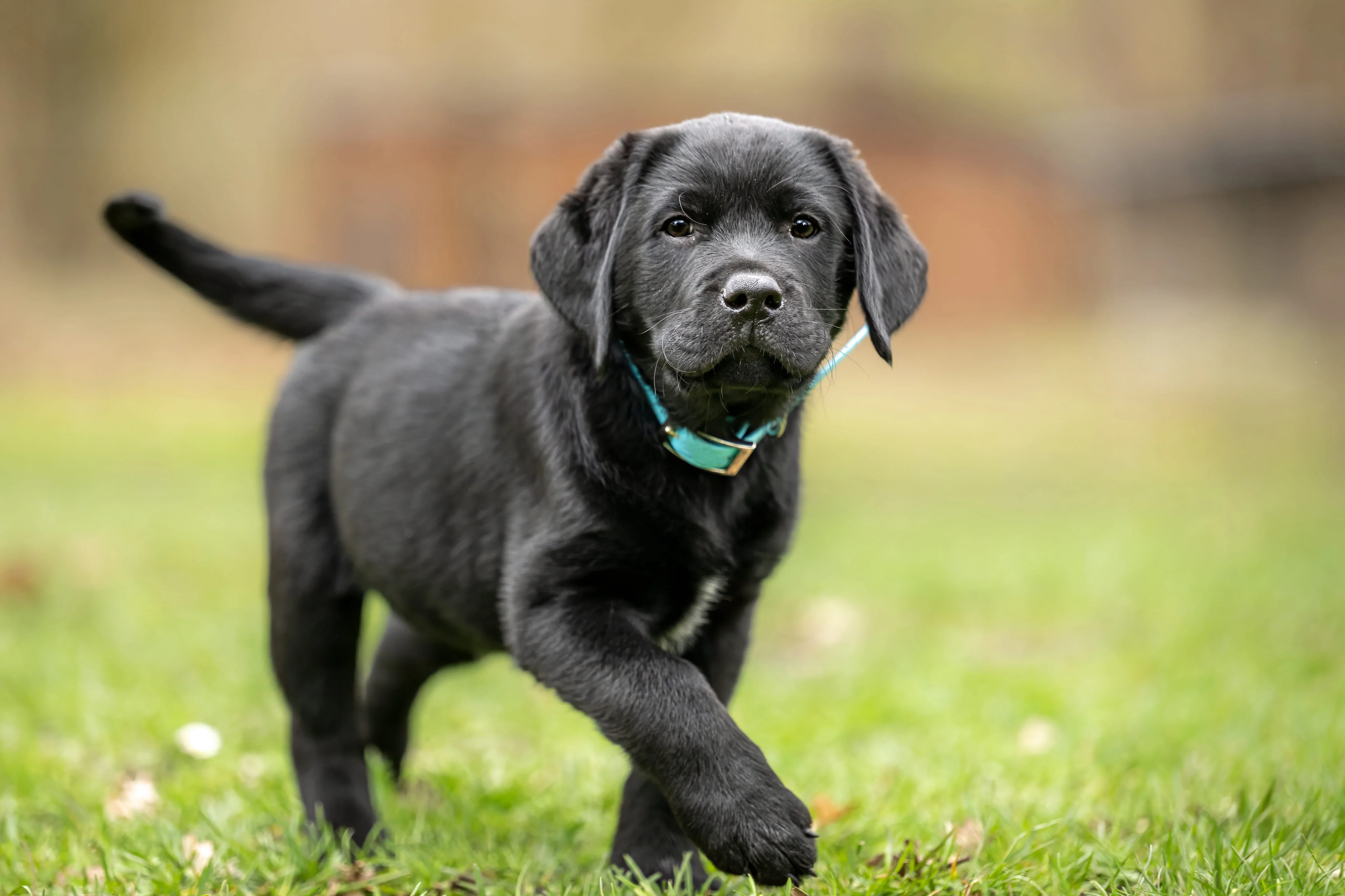 Изучение основных команд