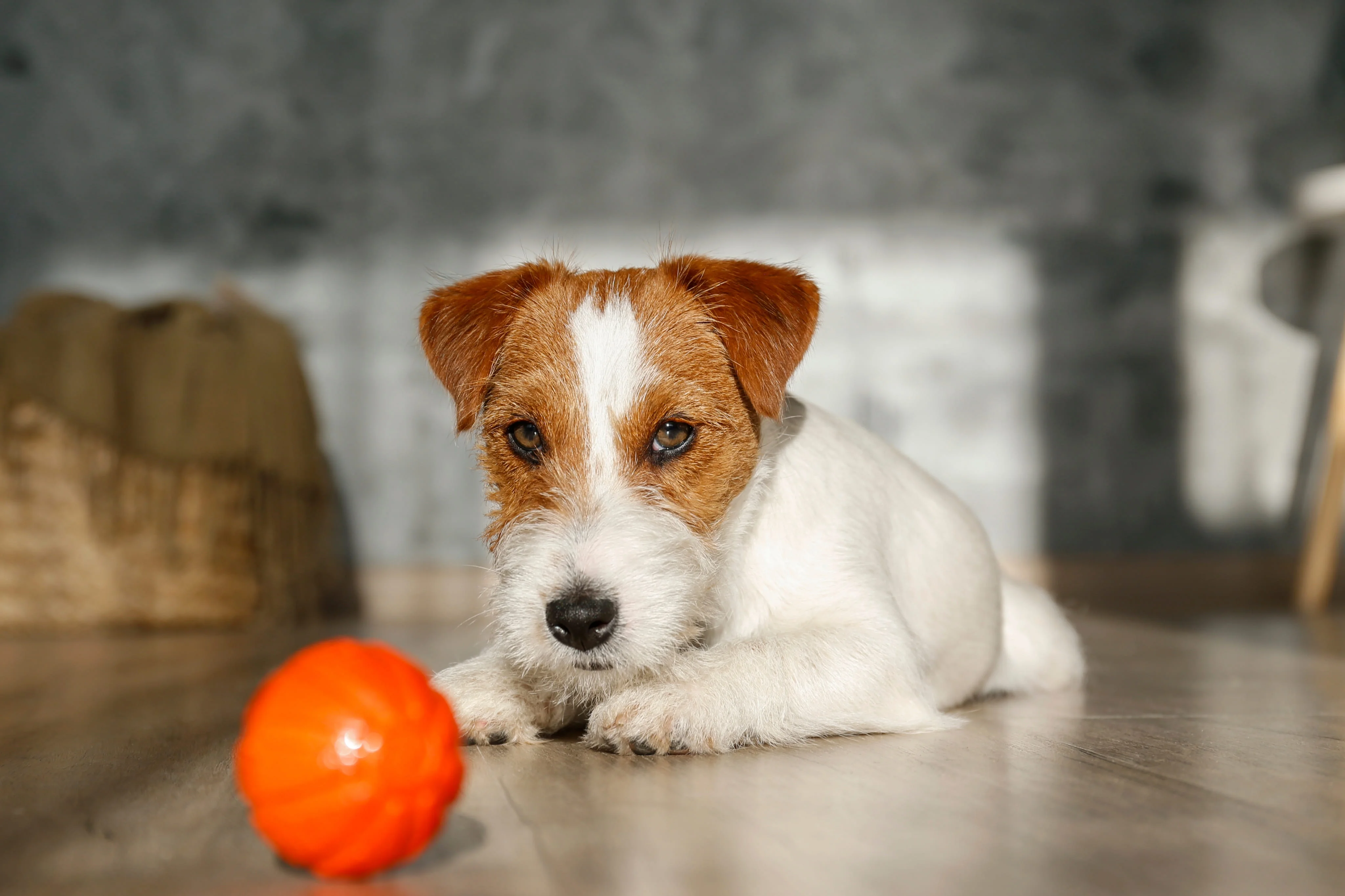 Причины отказа от игр